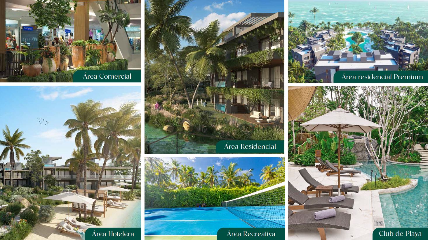 apartamentos - Apartamento En Venta En Las Terrenas, en la playa 6
