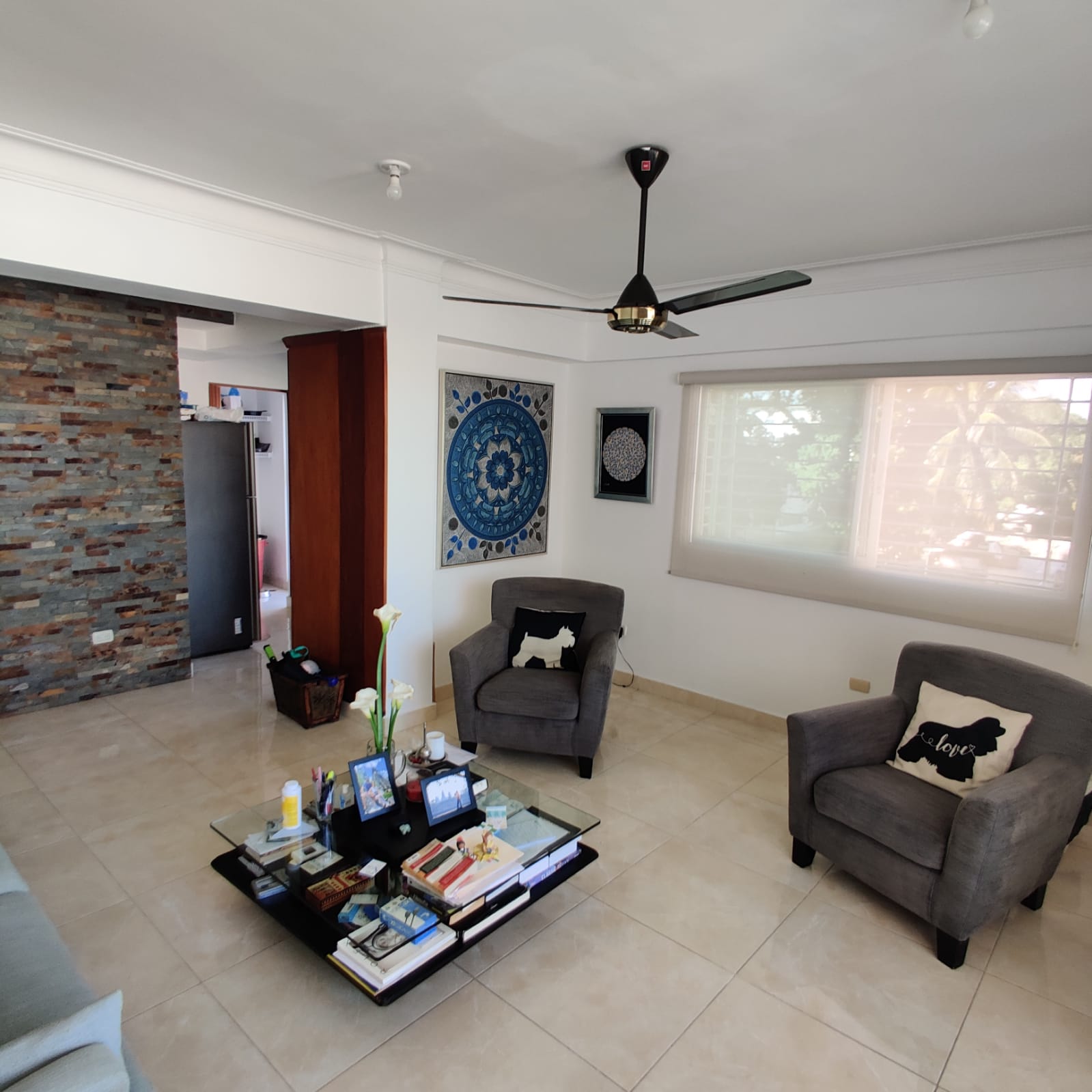 apartamentos - Apartamento viejo Arroyo Hondo, con ascensor 6