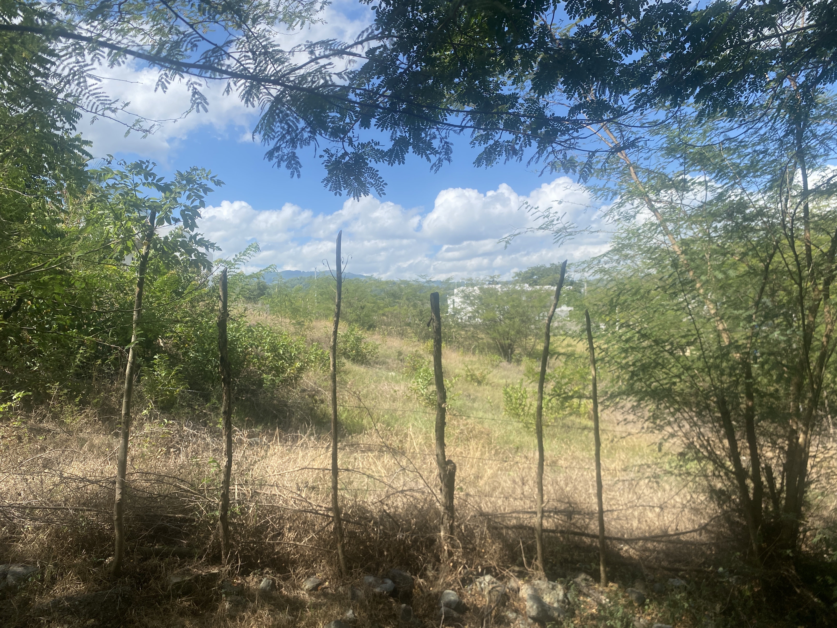 solares y terrenos - solar de 216 mts de venta en Camu  4