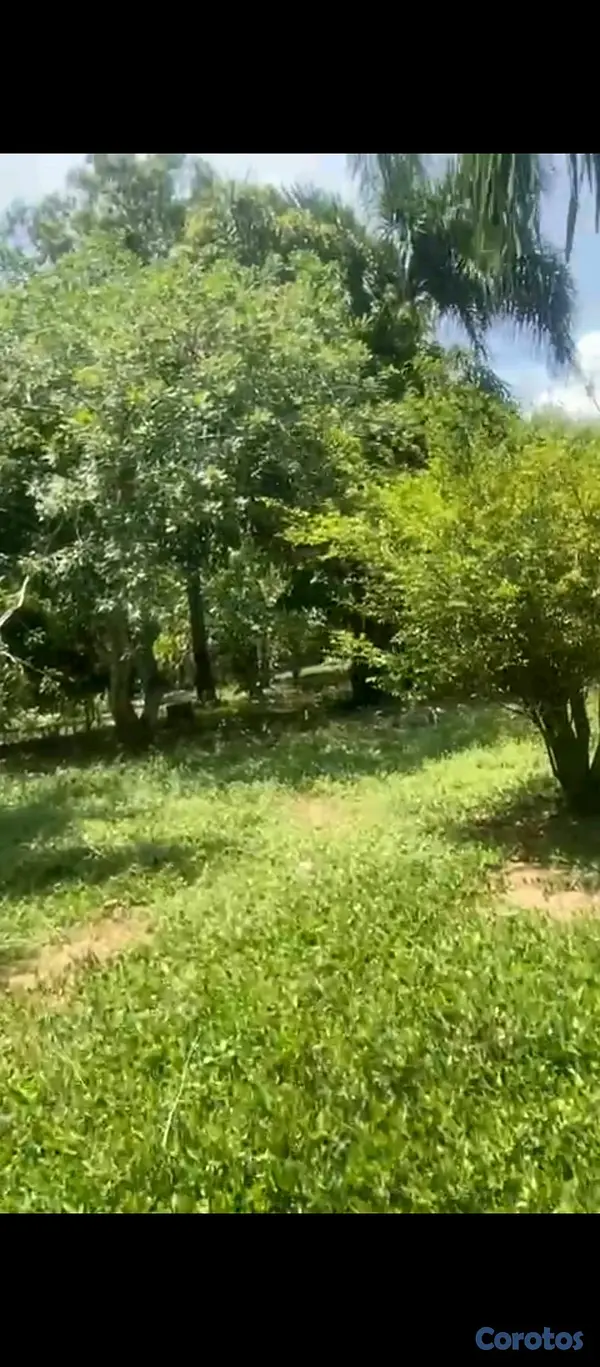 solares y terrenos - Venta de terreno  3