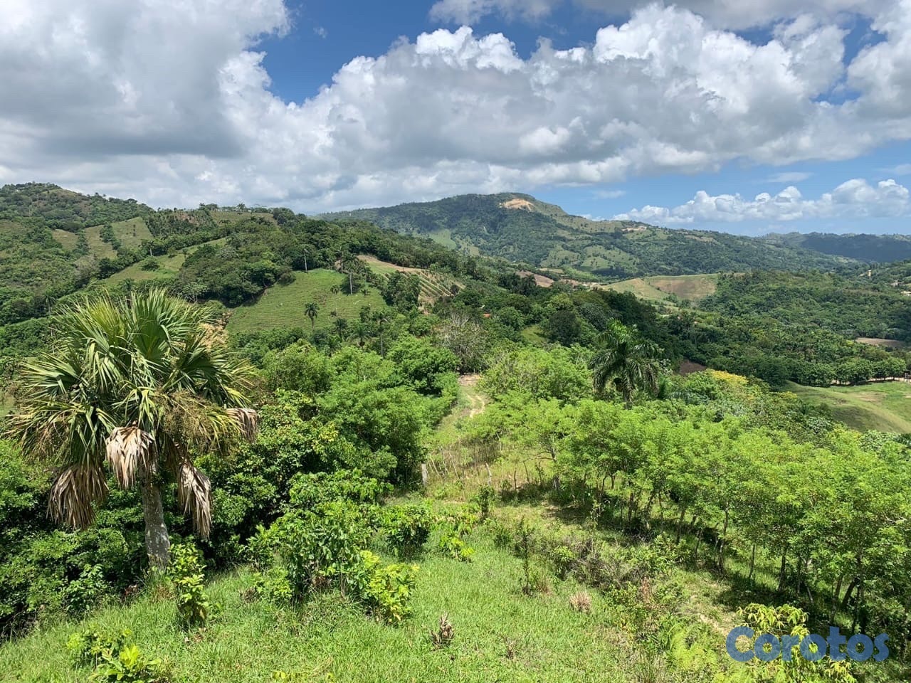 solares y terrenos - finca ganadería en villa trina  4