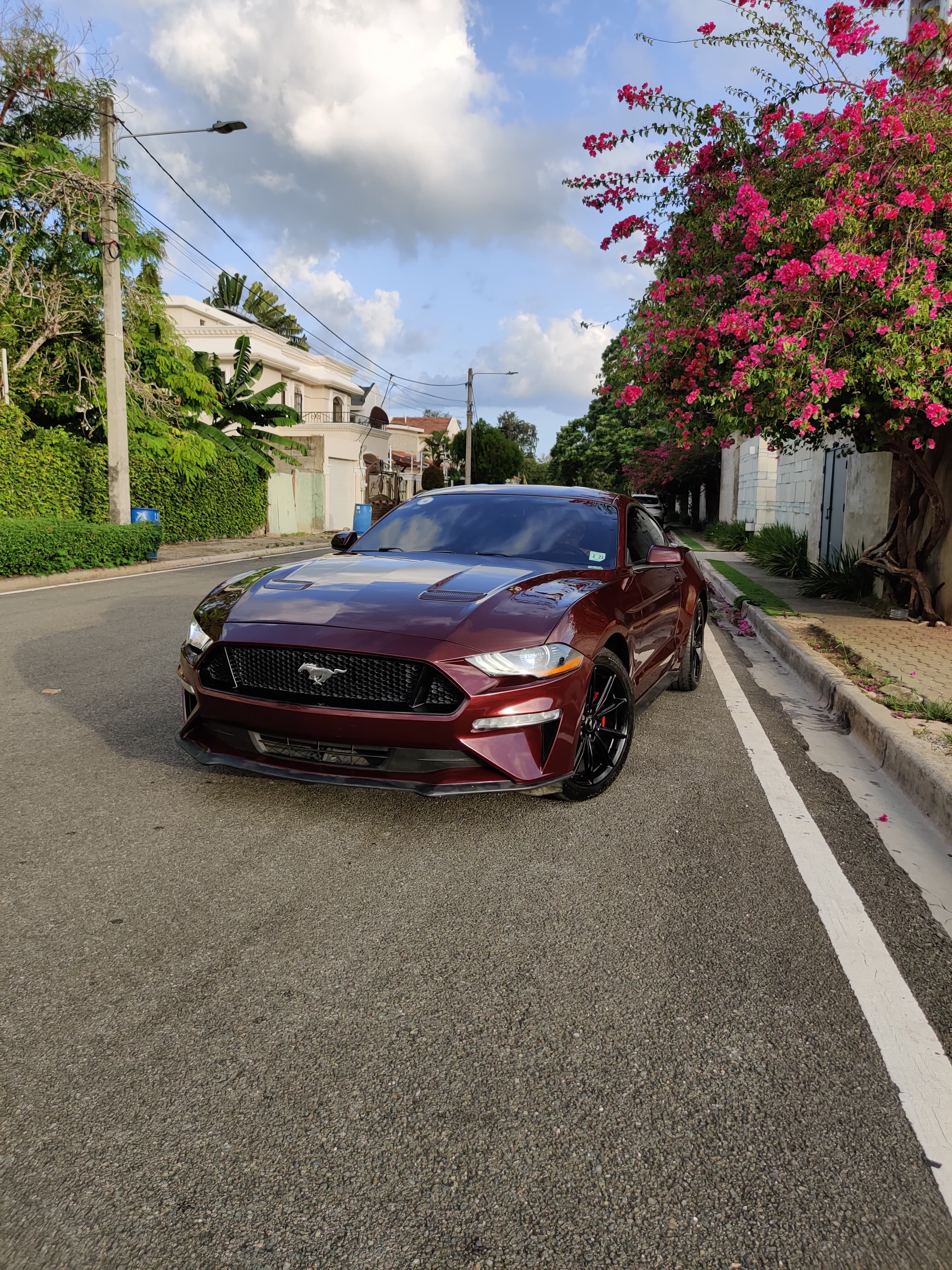 carros - Ford Mustang Ecoboost 2018 1
