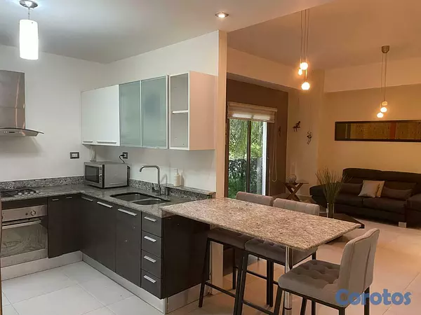 apartamentos - Apartamento en Alquiler en Piantini Amueblado de U 5
