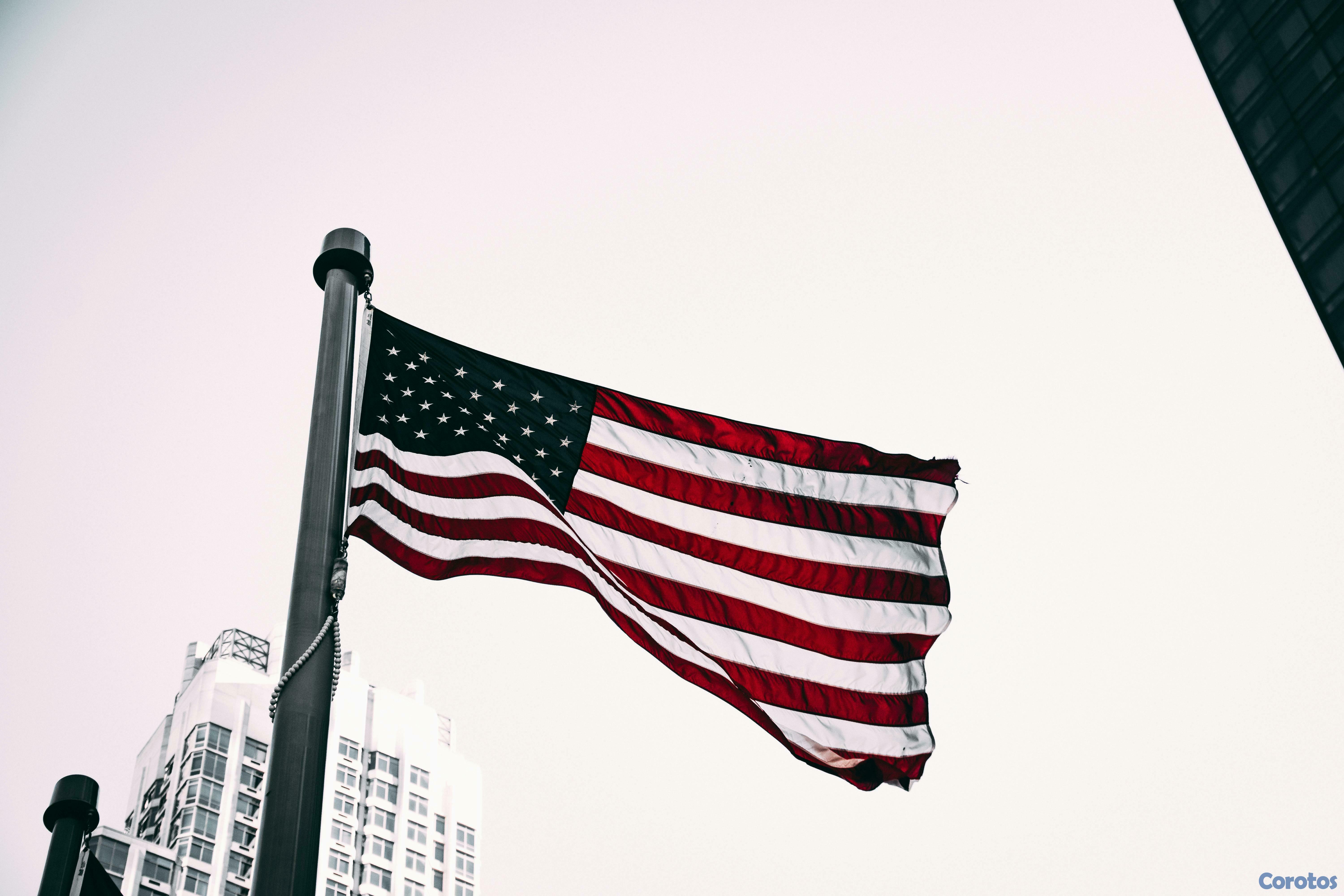 servicios profesionales - 💼✈️ ¿Piensas trabajar en Estados Unidos o Canadá? 1