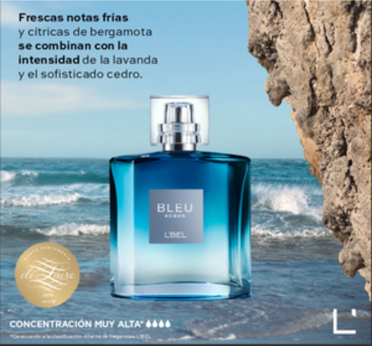 salud y belleza - Perfumes Bleu Toda la variedad disponible  1
