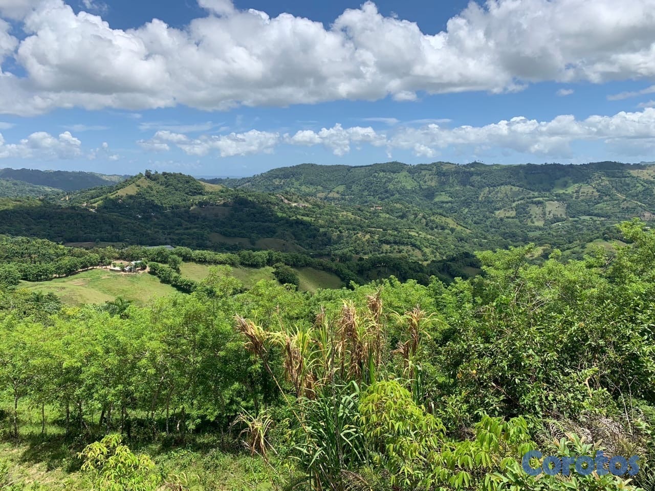 solares y terrenos - finca ganadería en villa trina  5