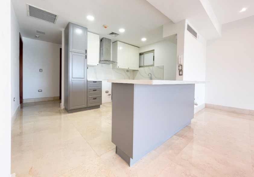 apartamentos - Apartamento en Alquiler en Piantini 3