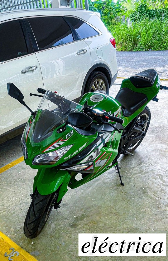 motores y pasolas - Motor eléctrico tipo jumbo con litio y sonido 