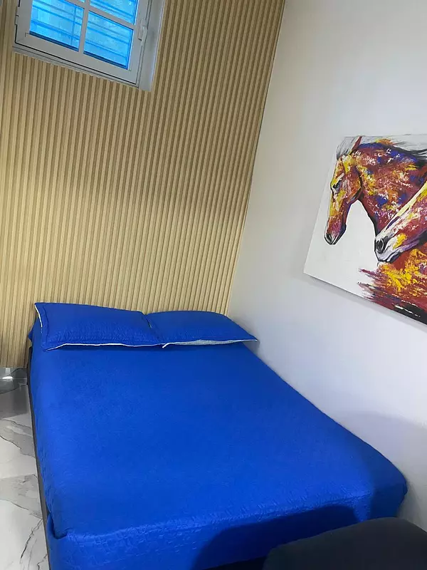 apartamentos - Alquiler Estudio, Zona Colonial, Santo Domingo 5