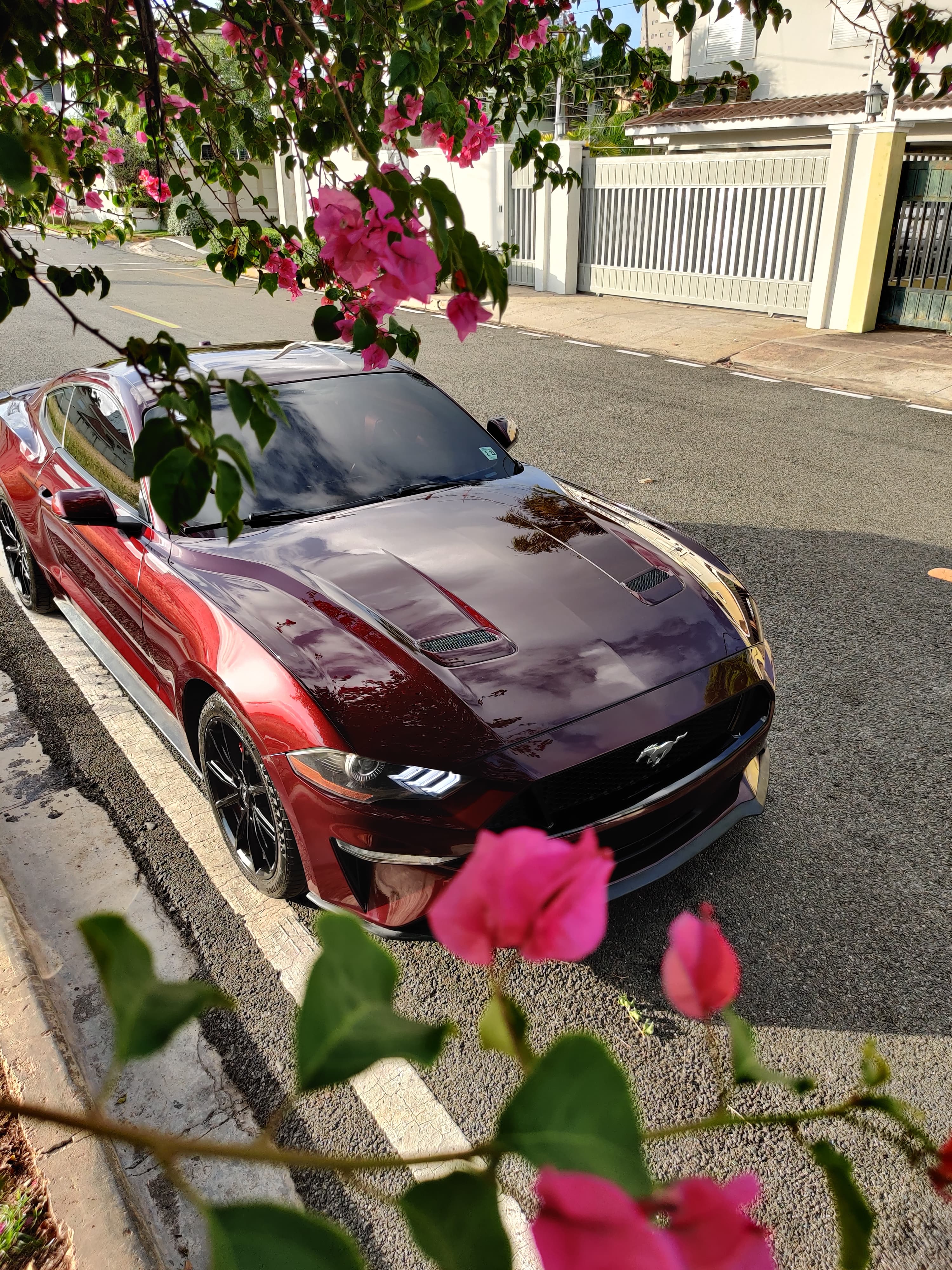 carros - Ford Mustang Ecoboost 2018 2