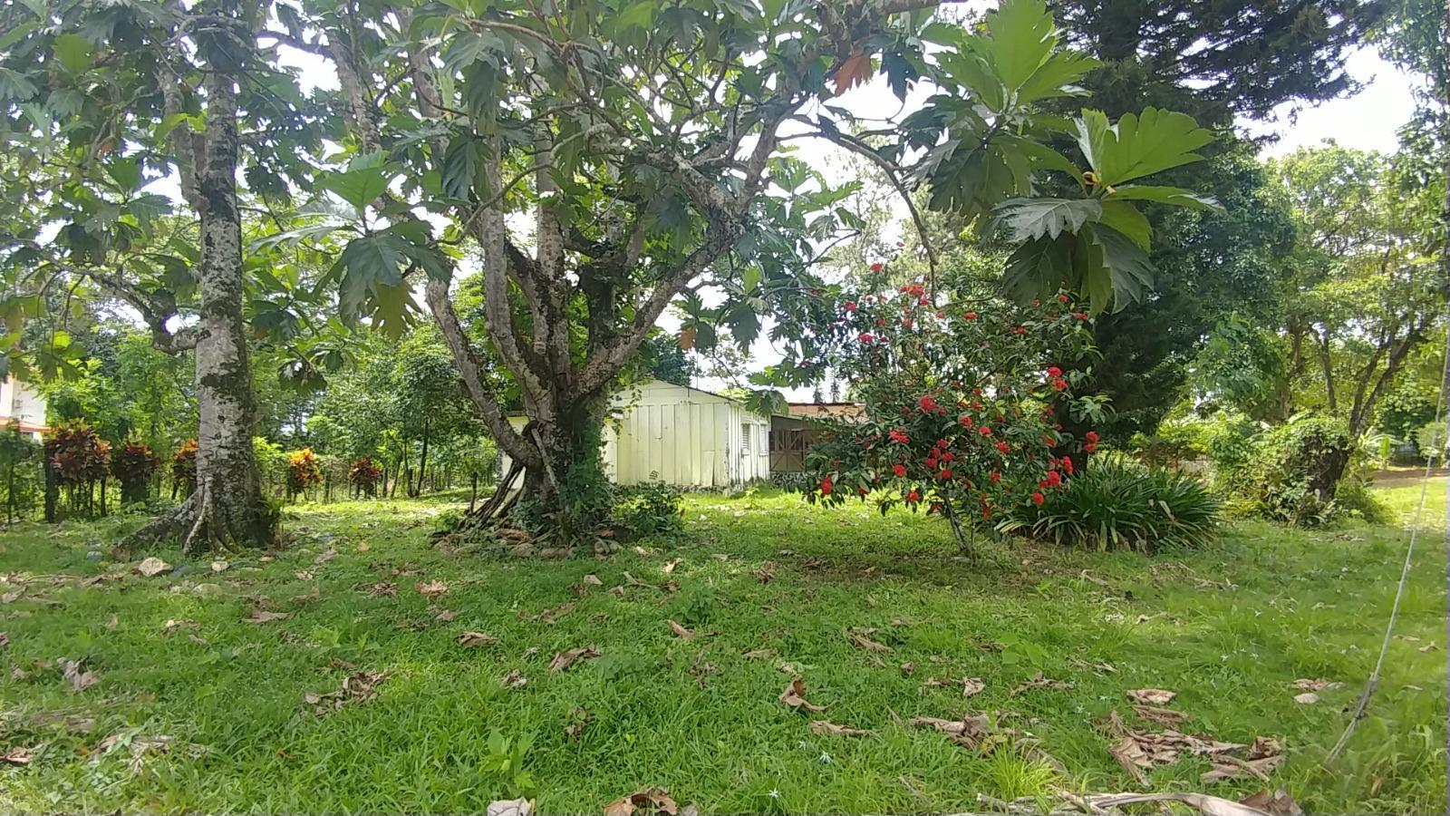 solares y terrenos - VENTA 5 SOLARES PARA USO RESIDENCIAL – PIEDRA BLANCA BONAO