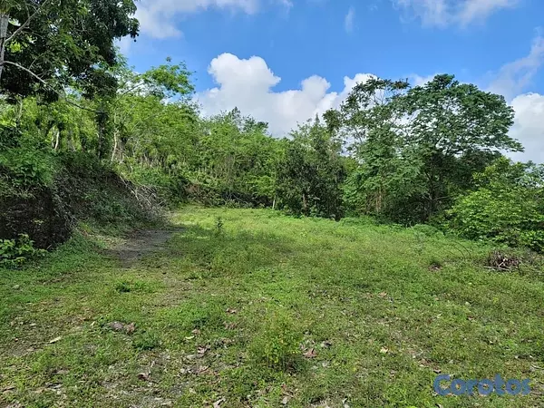 solares y terrenos - Vendo Finca en Yamasa, Monteplata 5