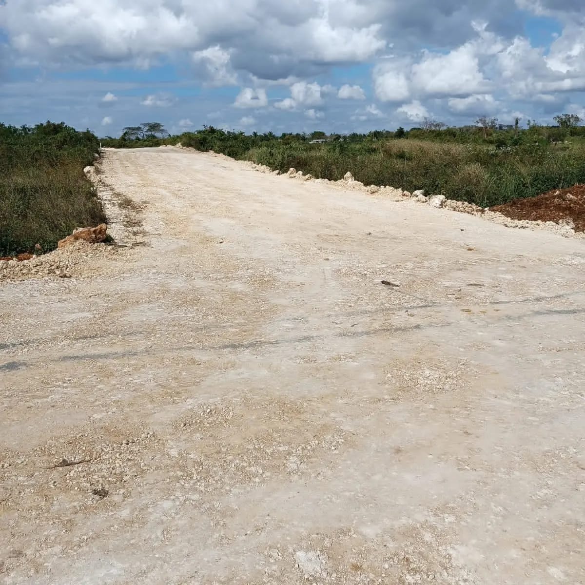 solares y terrenos - Solares en la avenida las Américas 5ta etapa Brisamar Santo Domingo 4