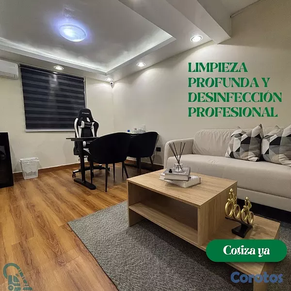 servicios profesionales - Servicio profesional de limpieza de mobiliarios. 6