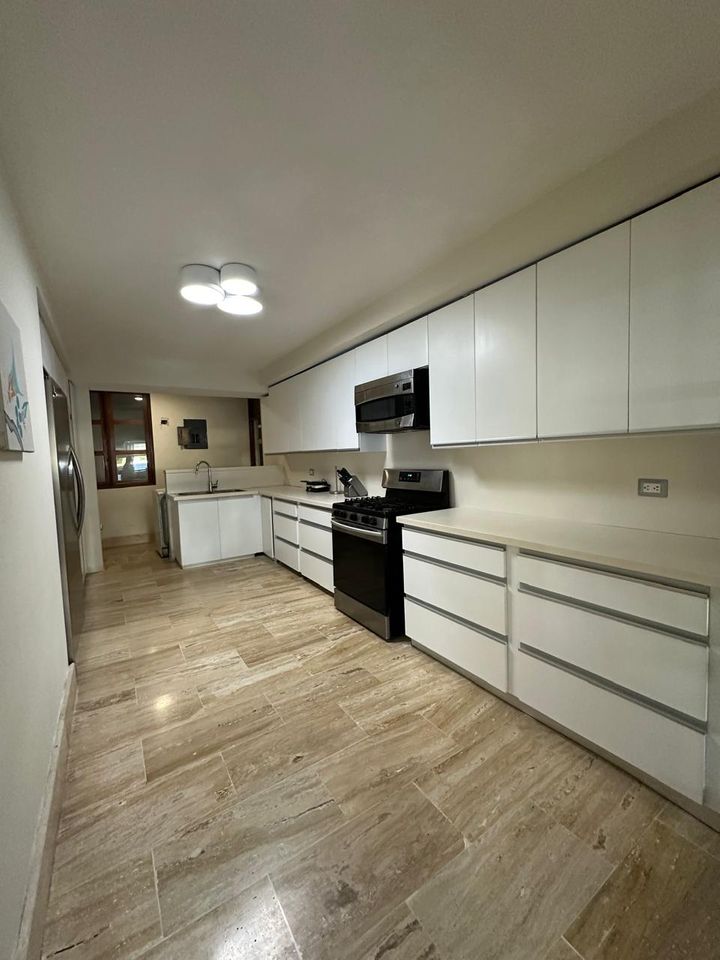 apartamentos - Apartamento amueblado en alquiler en Piantini 2