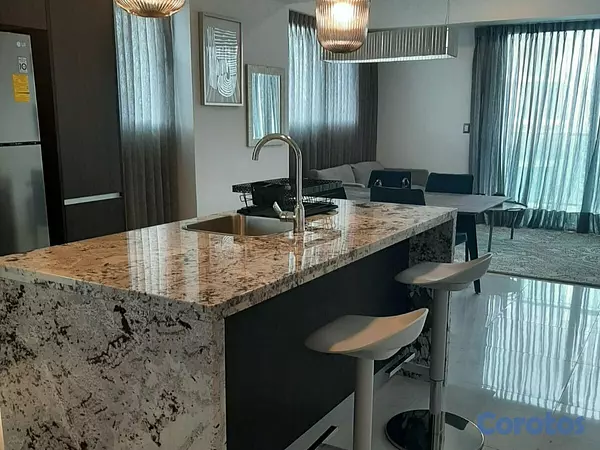 apartamentos - Apartamento en Alquiler en Piantini Amueblado de U 7