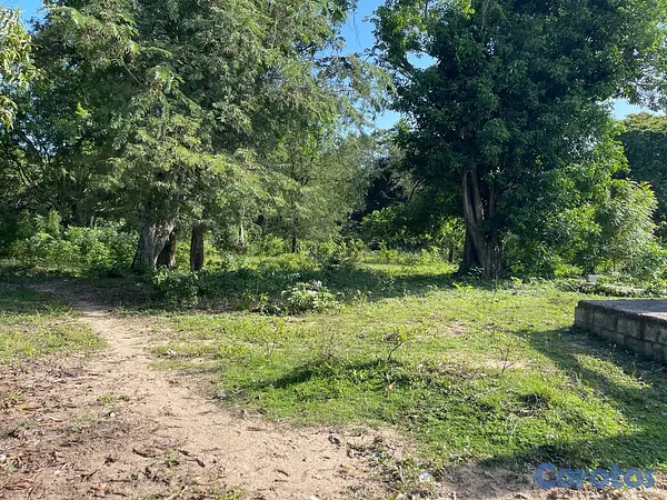 casas - Oportunidad! 38,000 m² en Nigua - Ideal para Naves o Parqueo 10