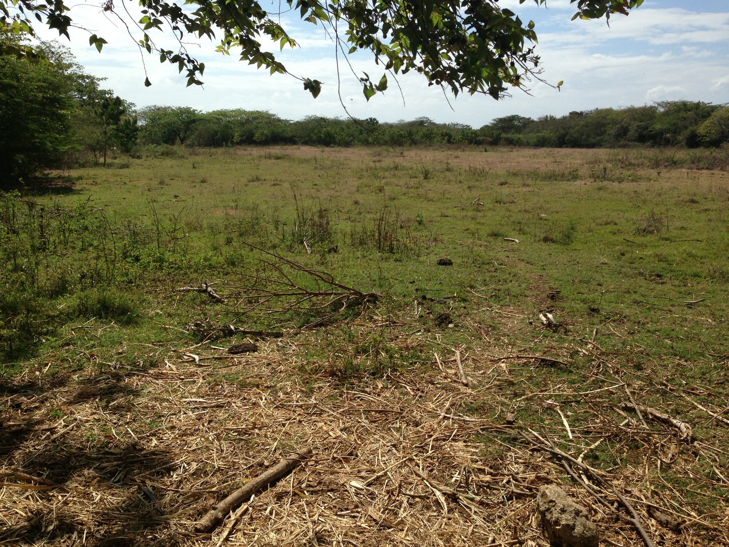solares y terrenos - Terreno en Palenque (Costa Colorada) 3