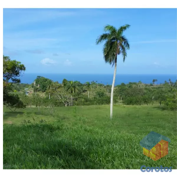solares y terrenos - Finca Venta en Cabrera (Caya Clara)  2