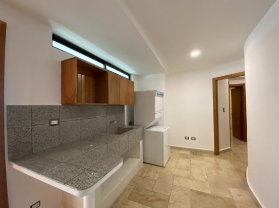 apartamentos - Alquiler de apartamento en Piantini 5
