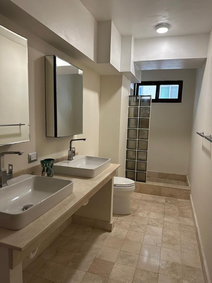 apartamentos - Apartamento amueblado en alquiler en Piantini 4