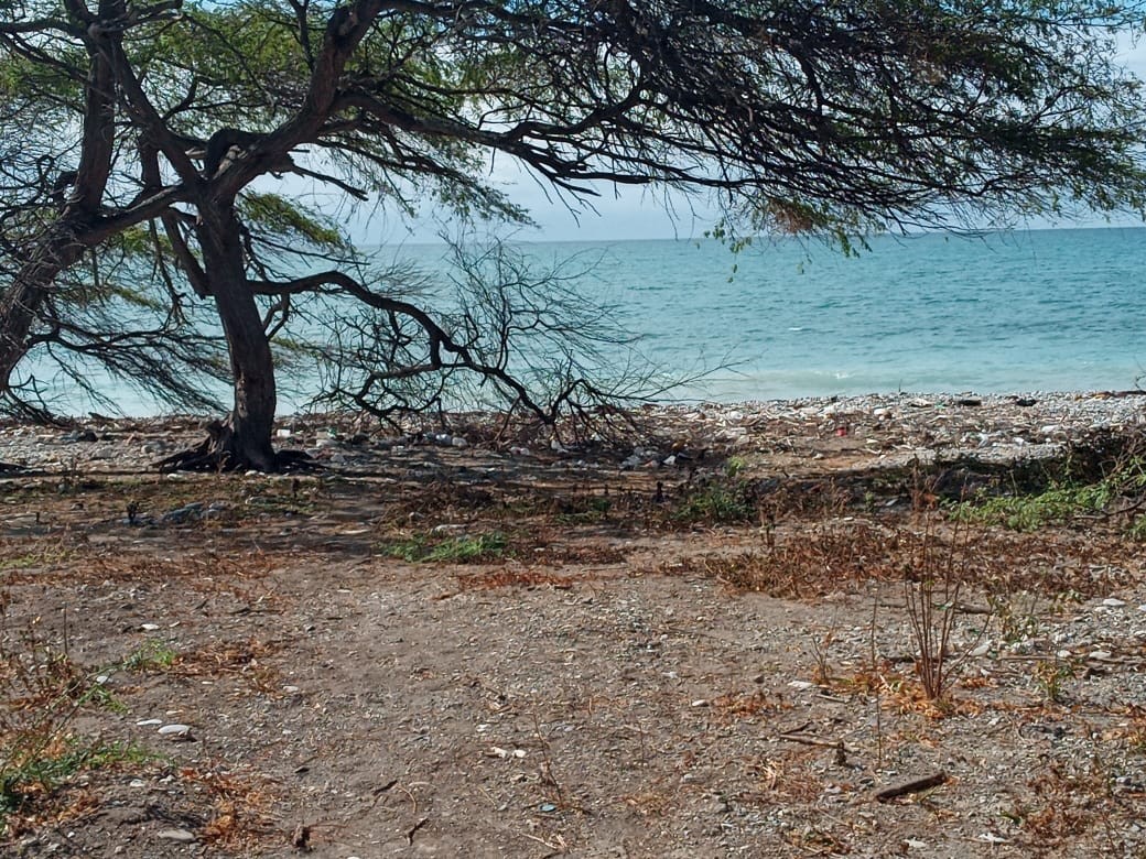 Azua, con playa, ideal desarrollo eco-turístico o de energías