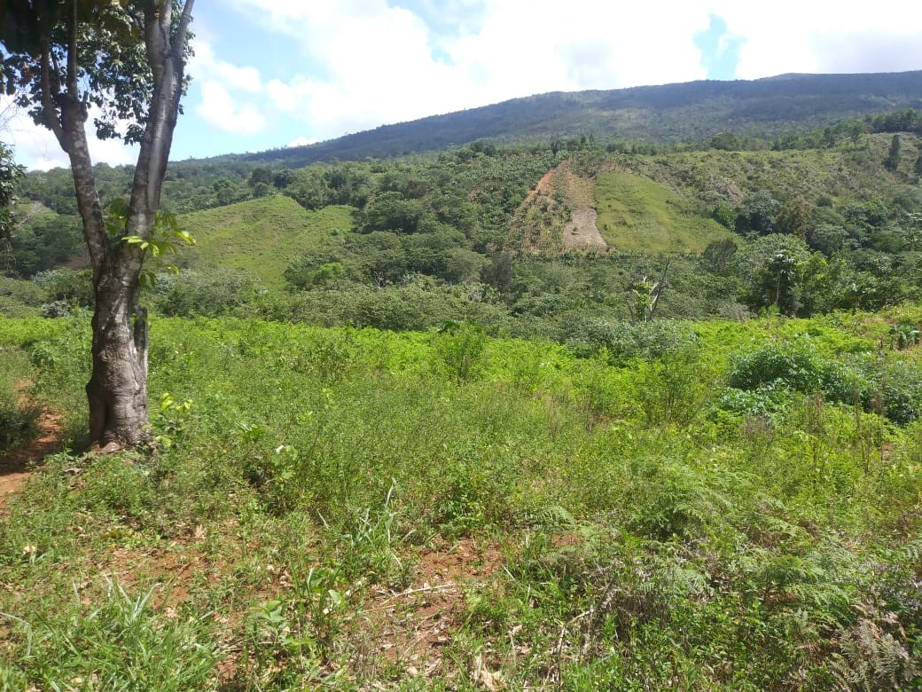 solares y terrenos - Terreno En Rancho Arriba Ocoa. 