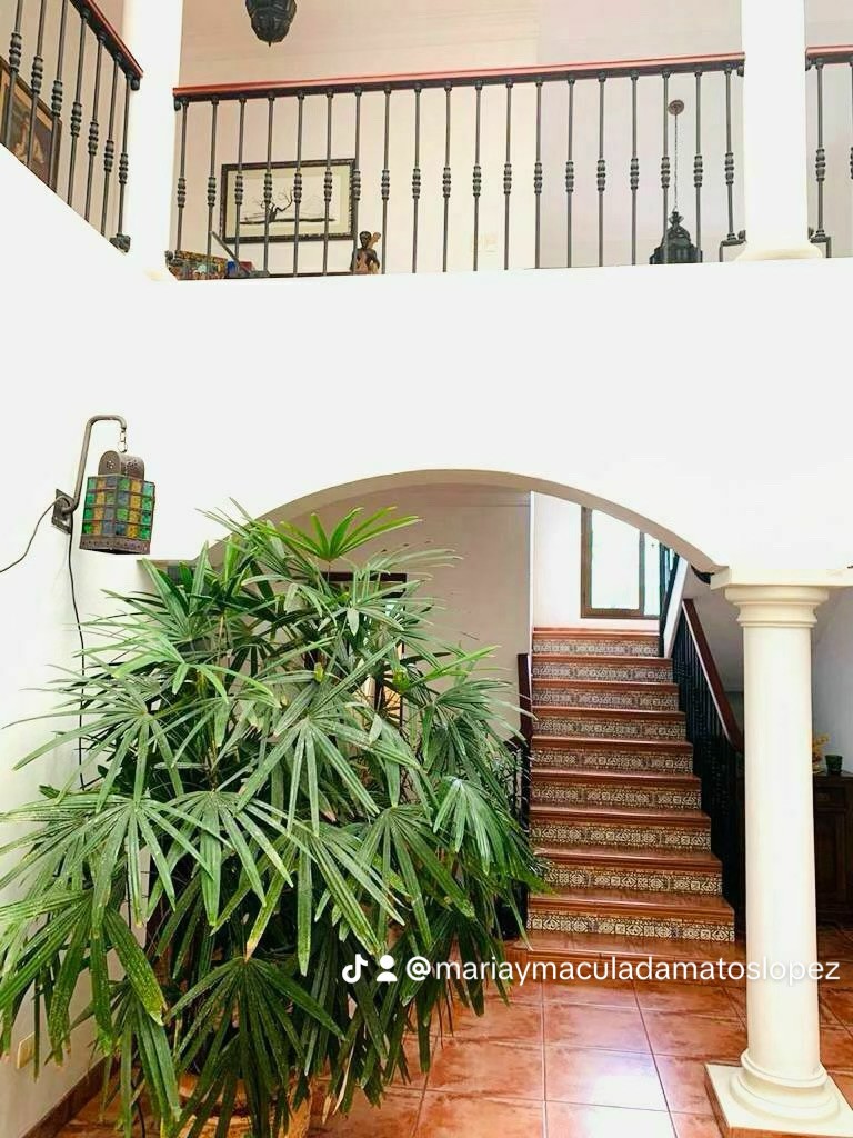 casas - Vendo en Casa en Alameda, Santo Domingo Oeste 3
