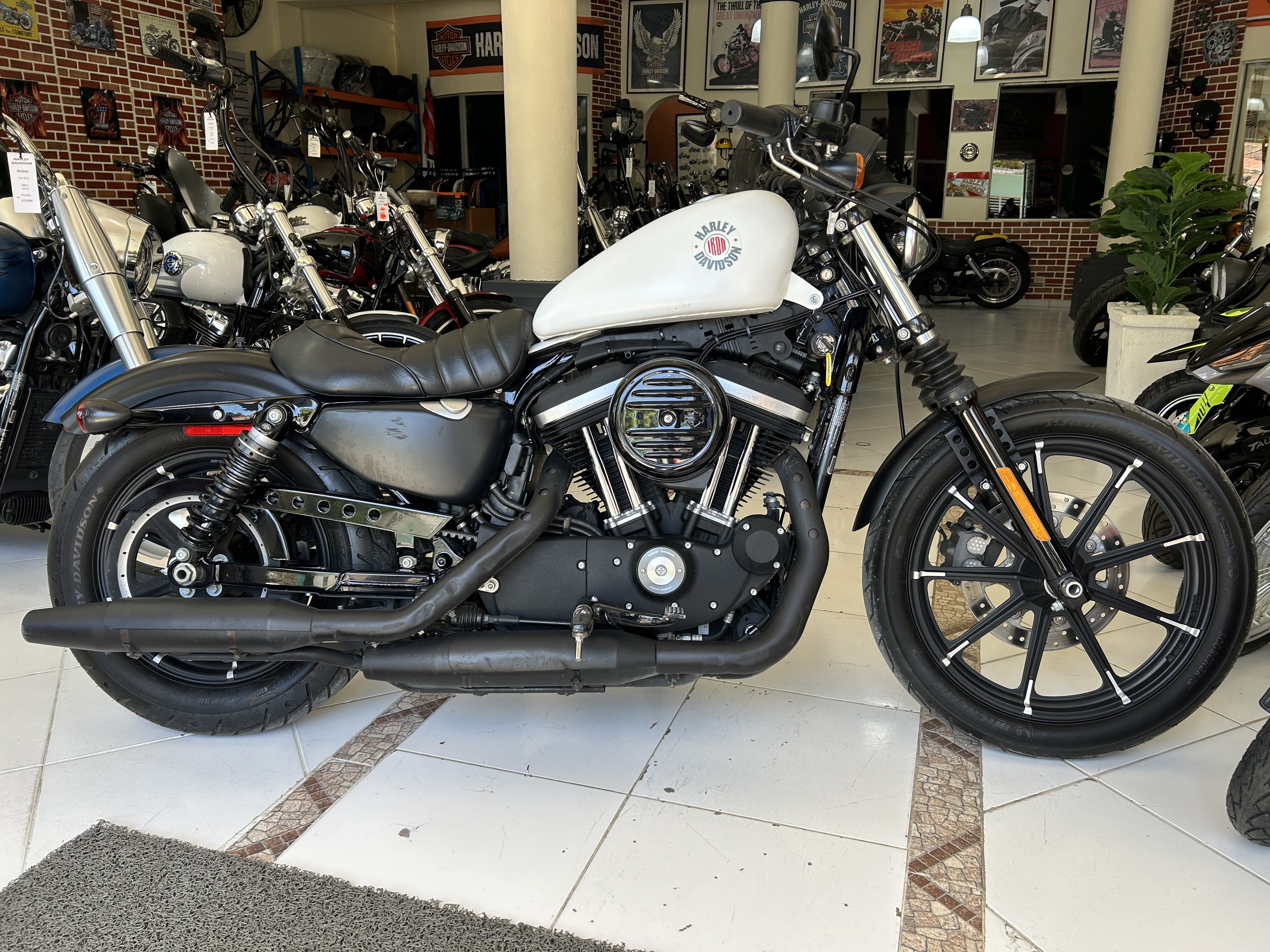 motores y pasolas - Sportster XL 883 Iron año 2022 0