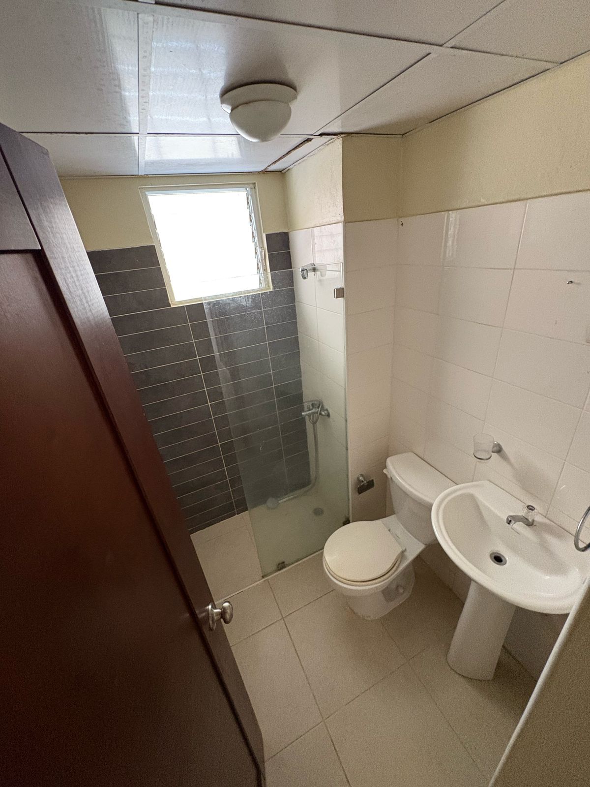 apartamentos - APARTAMENTO EN VENTA YAPURT DUMIT, SANTIAGO. 0