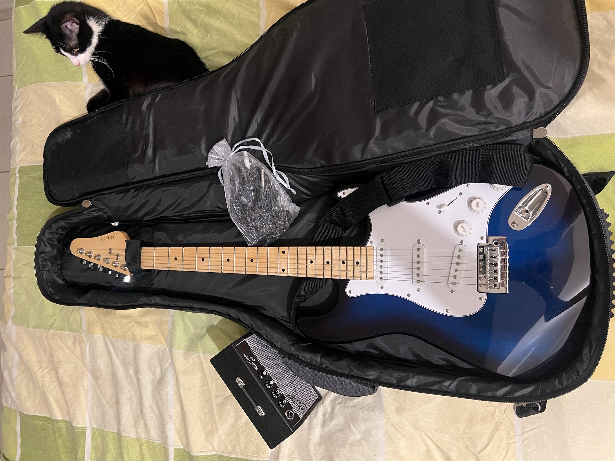 instrumentos musicales - Vendo Guitarra Eléctrica tipo Stratocaster con amplificador marca Fender y Case. 2