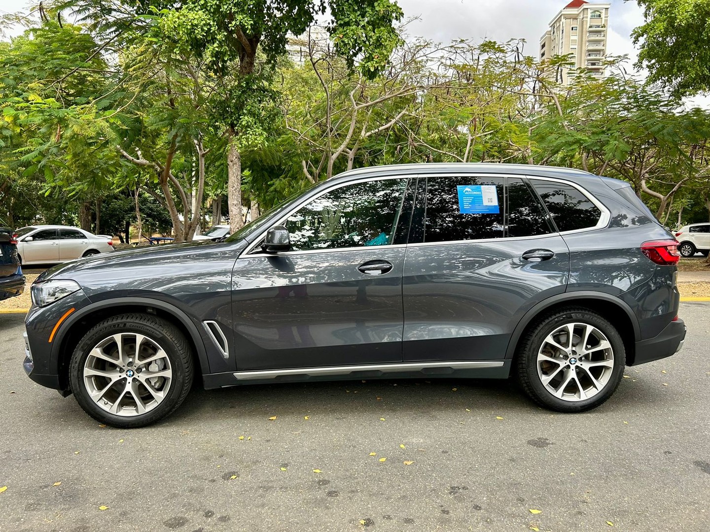 jeepetas y camionetas - BMW X5 XDrive 40i 2019
 2