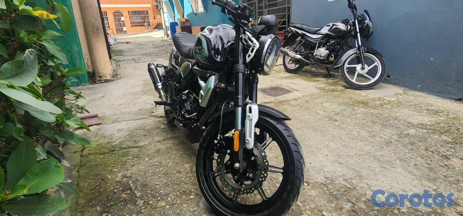 motores y pasolas - loncin ac4 2024 1