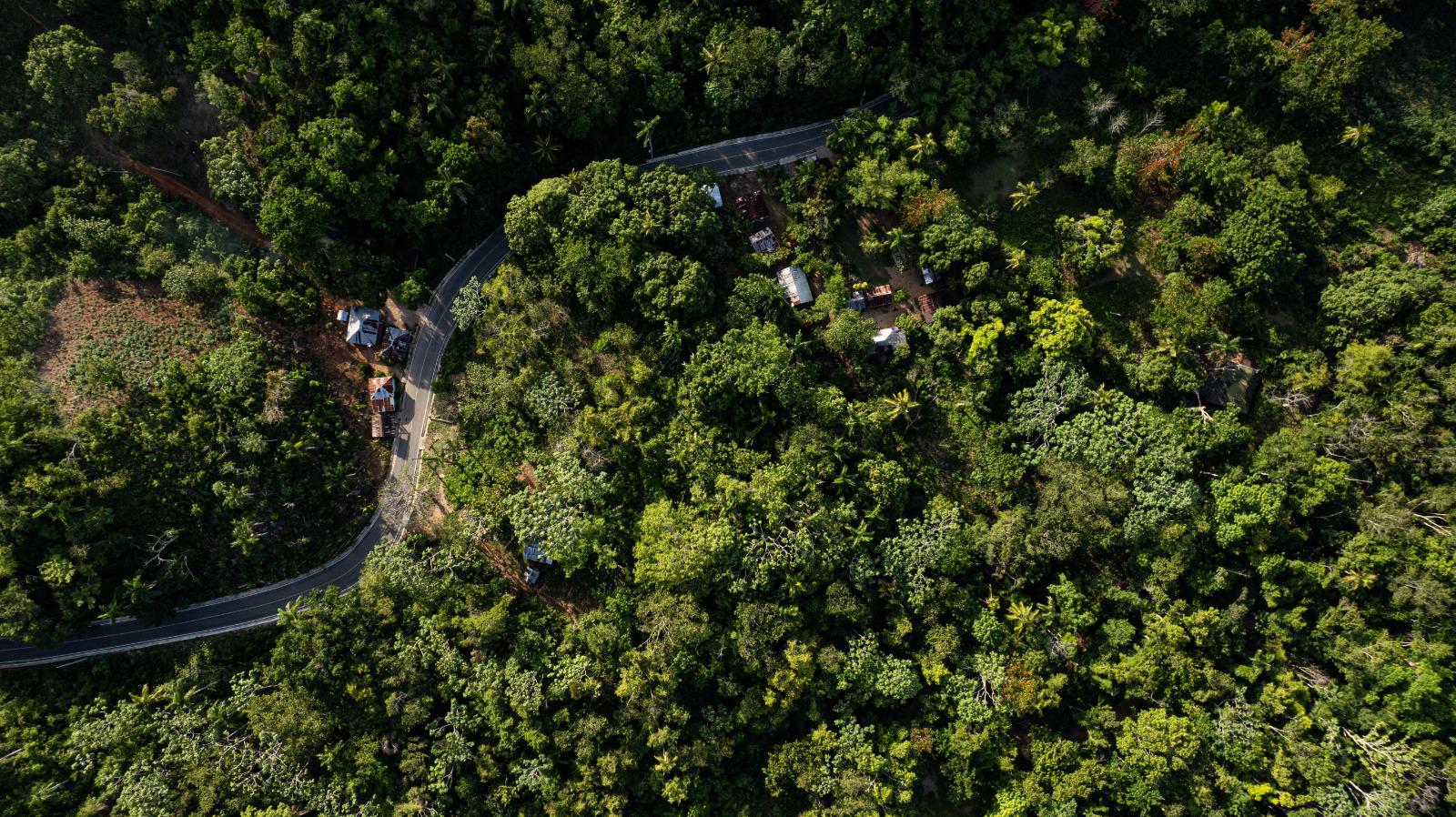 solares y terrenos - TERRENO DE 7,570.64 M2 - EL LIMÓN