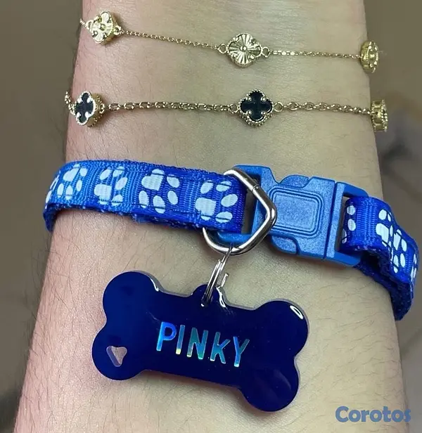 animales y mascotas - Chapillas y collares personalizados para perros y gatos 3