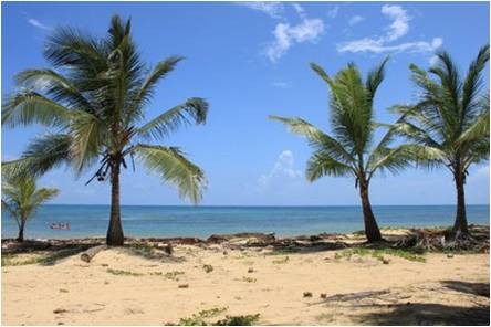 solares y terrenos - Oportunidad de Inversión Punta Cana  