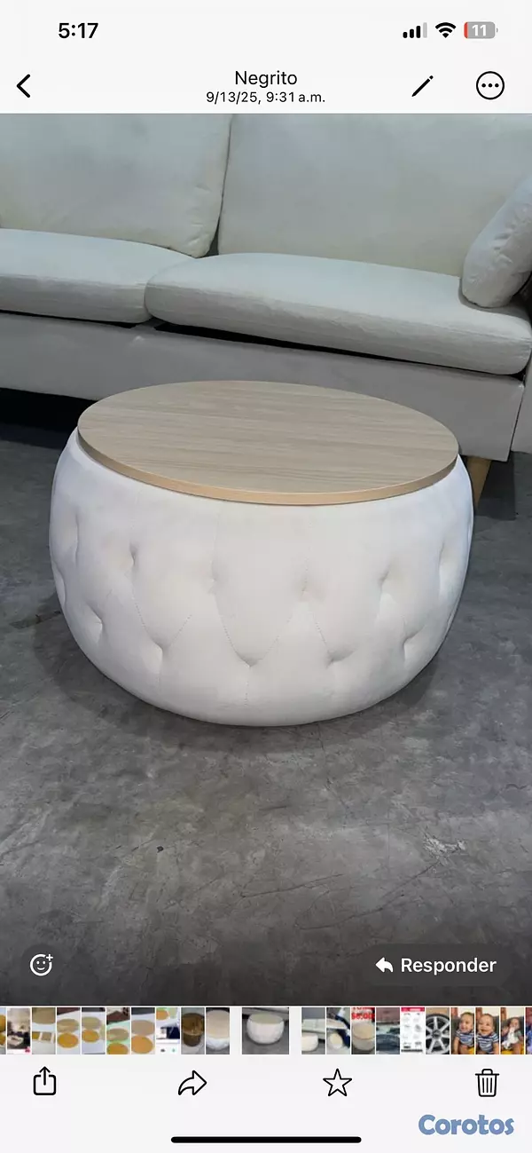 decoración y accesorios - Ottoman baúl  4