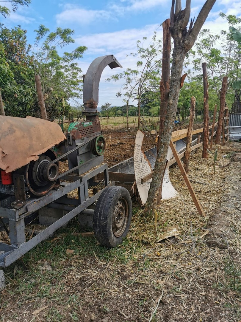 solares y terrenos - Finca  Barata p/.  ganado de engorde 45 tarea en Bonao con maquina de corte.