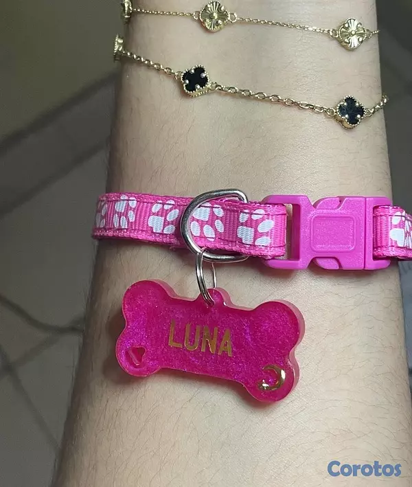 animales y mascotas - Collares y Chapillas personalizadas para mascotas  7