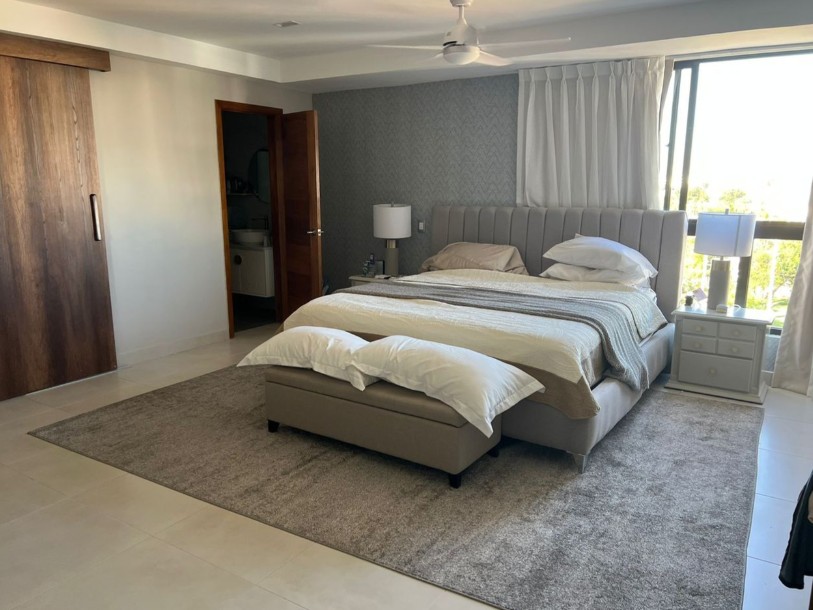 penthouses - Venta de Penthouses en Renacimiento 9