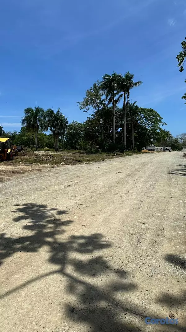 solares y terrenos - TERRENOS EN VENTA EN MUÑOZ PUERTO PLATA 5