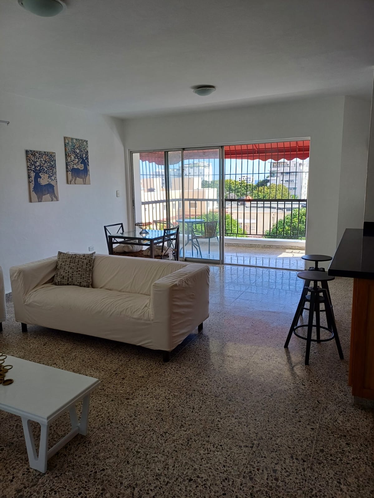 apartamentos - hermoso apartamento y de oportunidad en bella vista  4