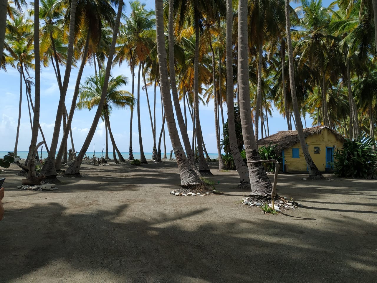solares y terrenos - Terreno frente a la playa, en Paya, Baní, ideal para proyecto turistico, 