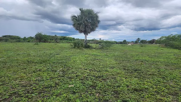 solares y terrenos - Solar en venta Gurabo Abajo, la Cruz gorda 3