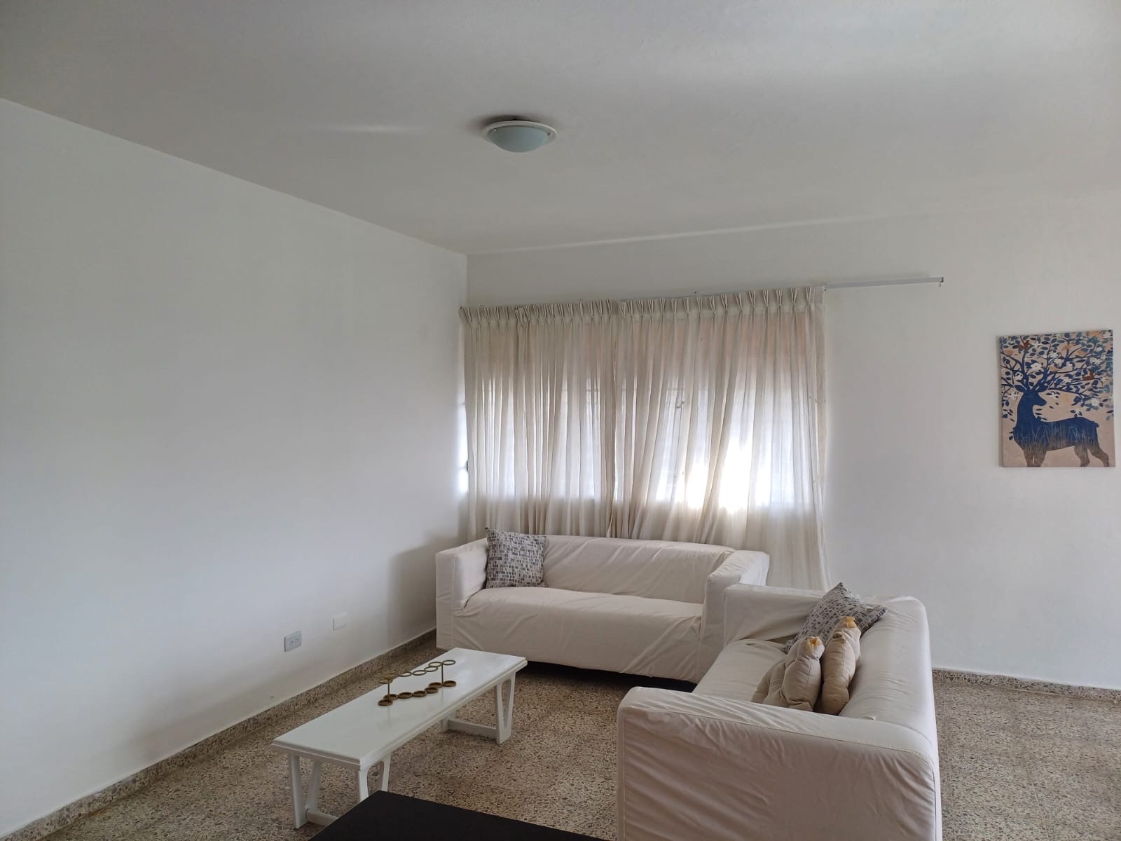 apartamentos - hermoso apartamento y de oportunidad en bella vista  6