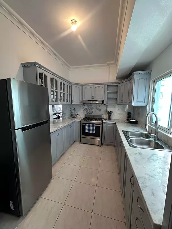 apartamentos - Alquilo Apartamento Amueblado  Piantini 4