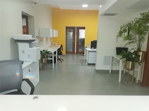 oficinas y locales comerciales - Propiedad comercial en el millon 4