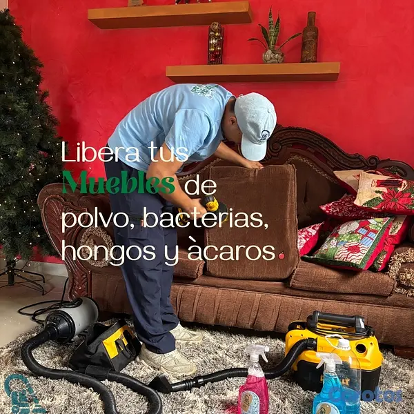 servicios profesionales - Servicio profesional de limpieza de mobiliarios. 9