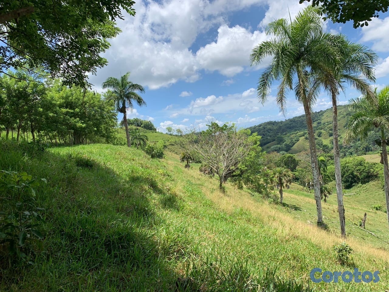 solares y terrenos - finca ganadería en villa trina  2