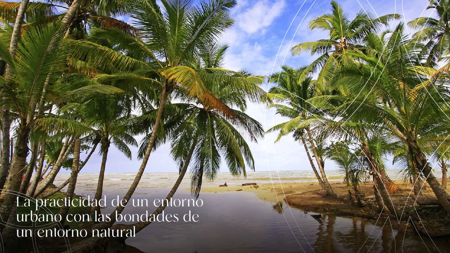 apartamentos - Apartamento En Venta En Las Terrenas, en la playa 5